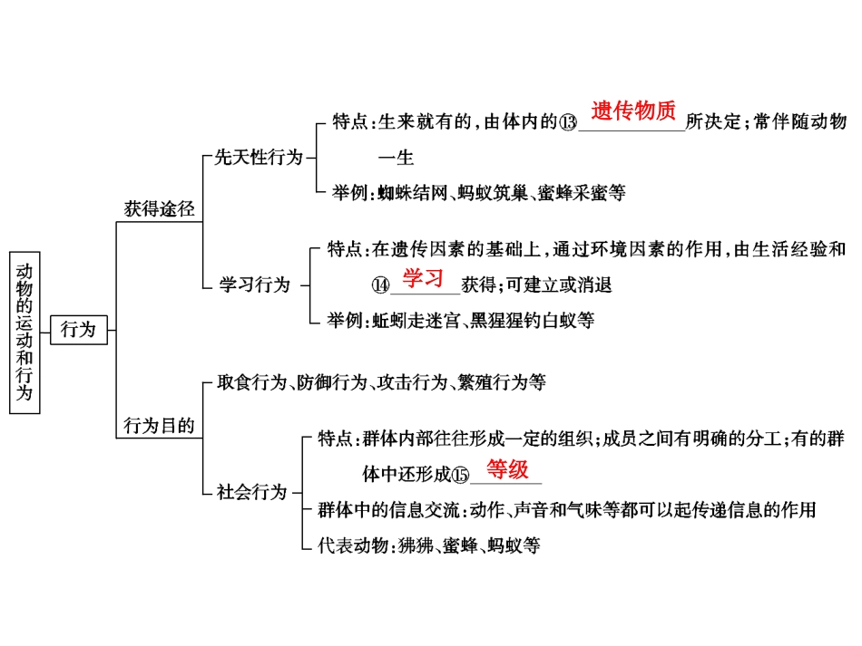 中考生物学专题知识整合·专题五动物的运动和行为_第3页