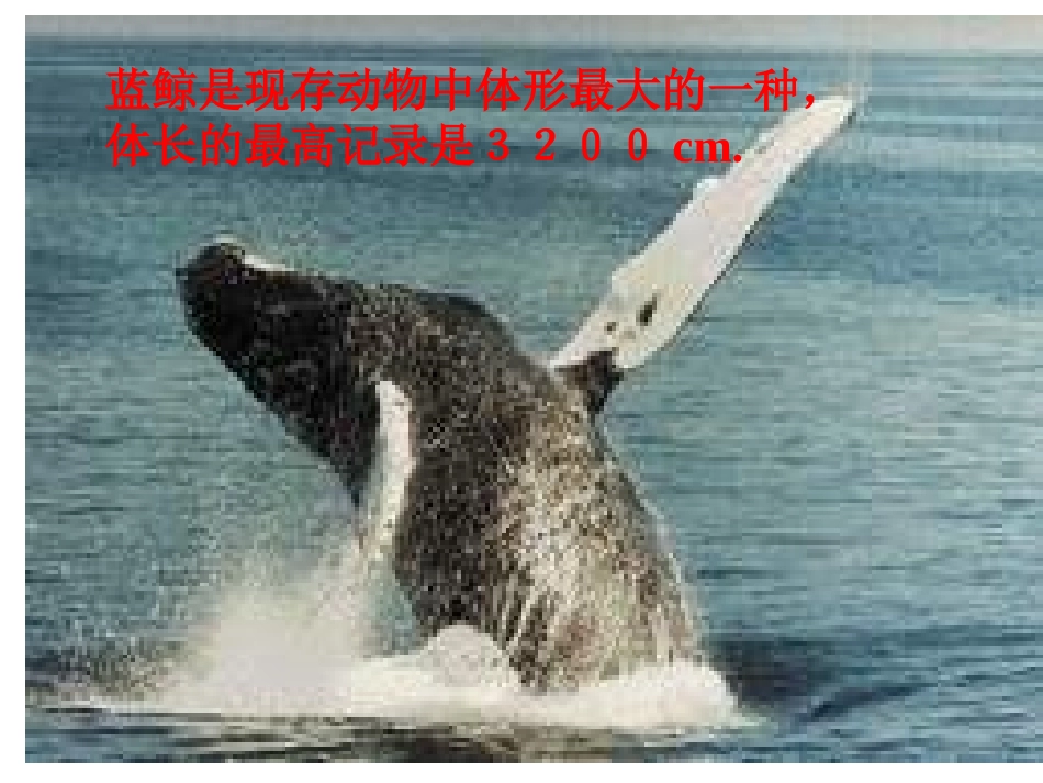 一次函数图象的应用_第3页