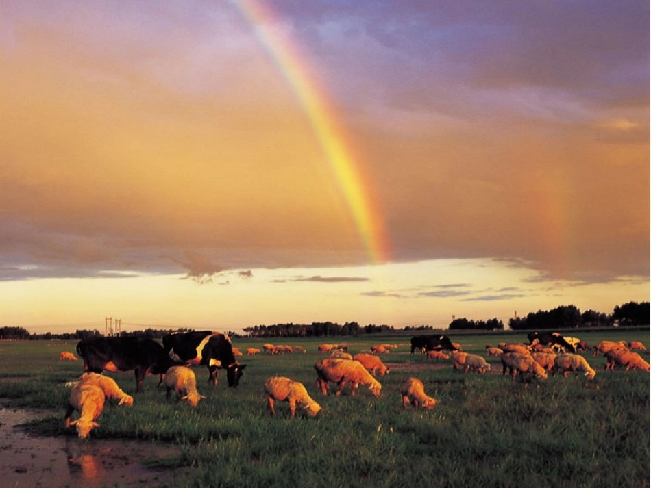 少数民族音乐课件_第2页