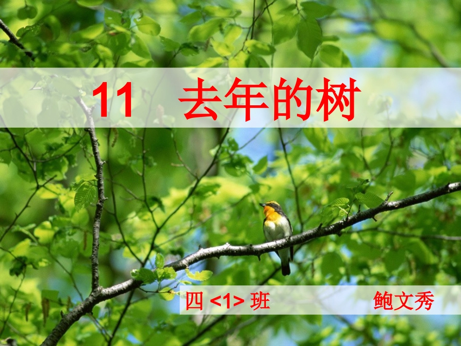 去年的树 (2)_第2页