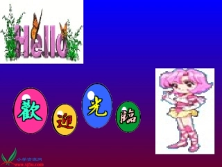 人教新课标四年级语文上册《鸟的天堂9》PPT课件