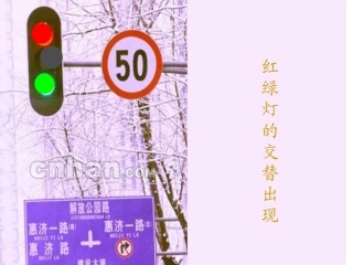 谁爬得快 (2)