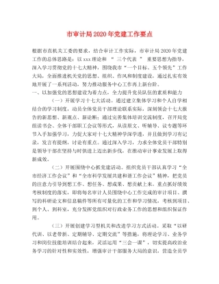 市审计局2024年党建工作要点 