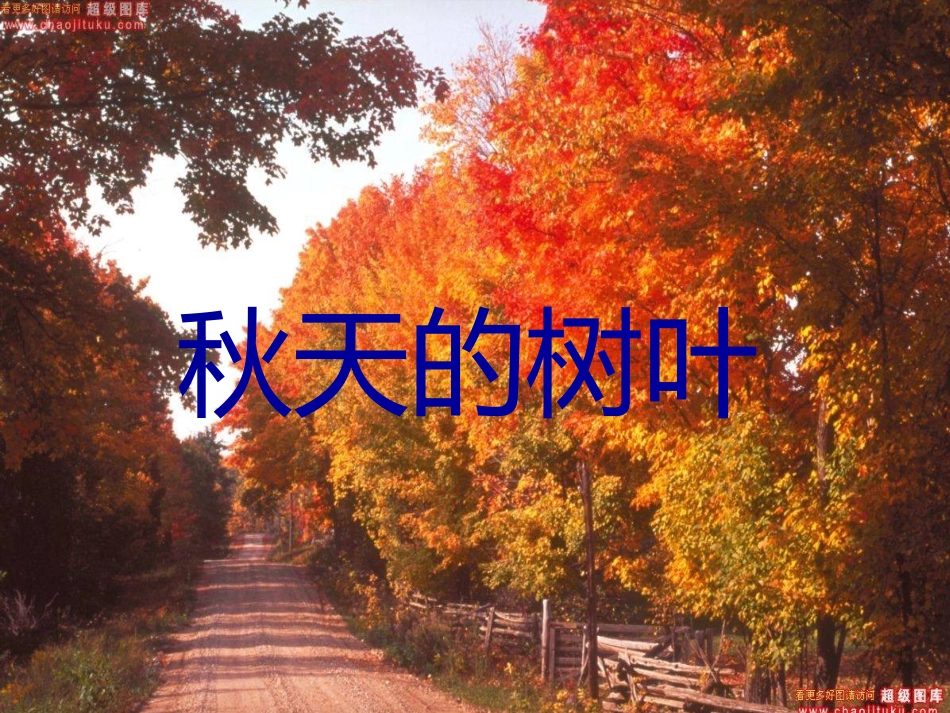 树叶画的制作_第2页