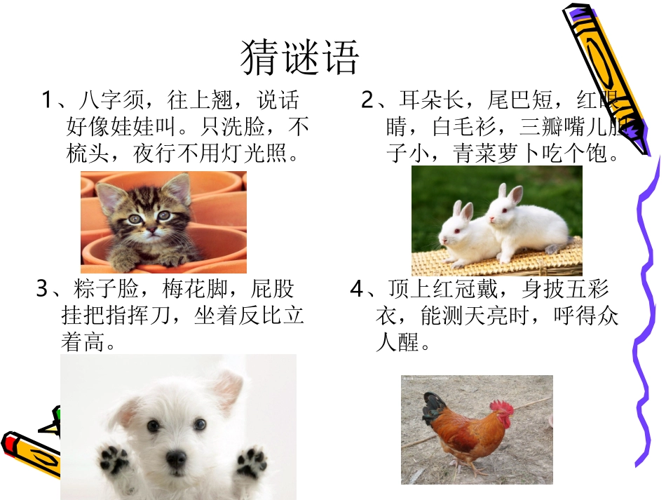 小学四年级作文——我喜欢的小动物_第1页