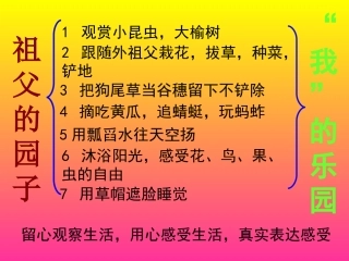 祖父的园子01