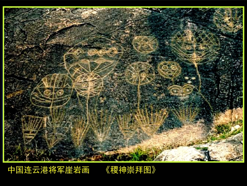 艺术——生命与自然和谐交融_第3页