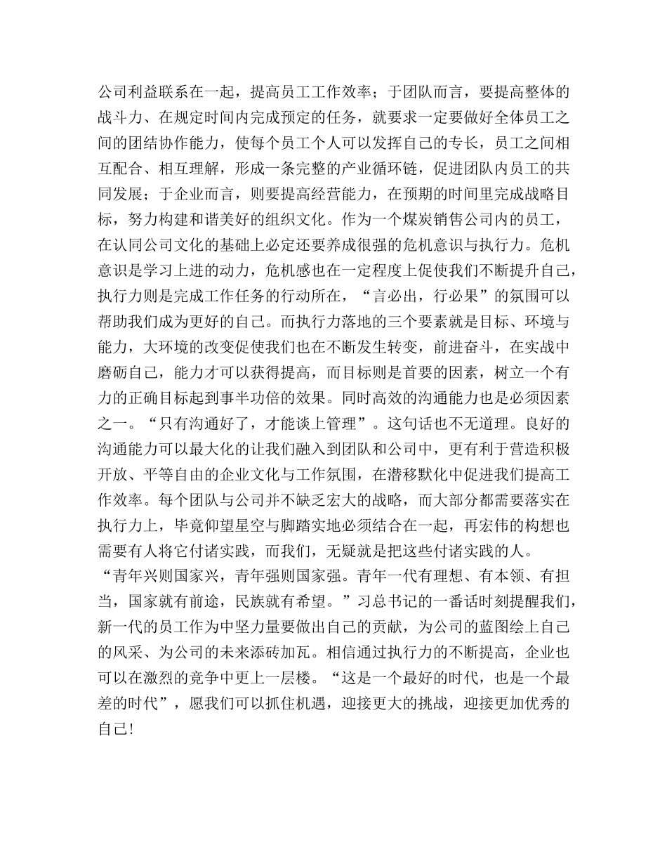 浅谈煤炭企业如何提高执行力汇编 浅谈执行力 _第2页
