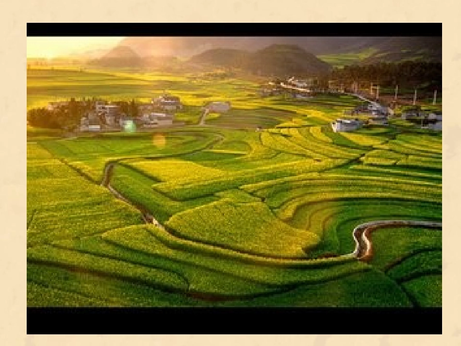一个小山村的故事何秀珍_第2页
