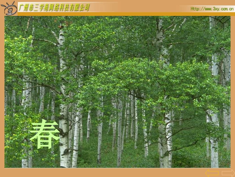 找规律 (7)_第3页