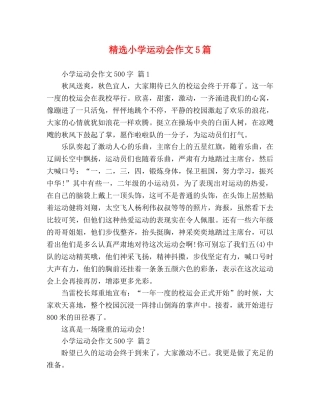 精选小学运动会作文5篇 
