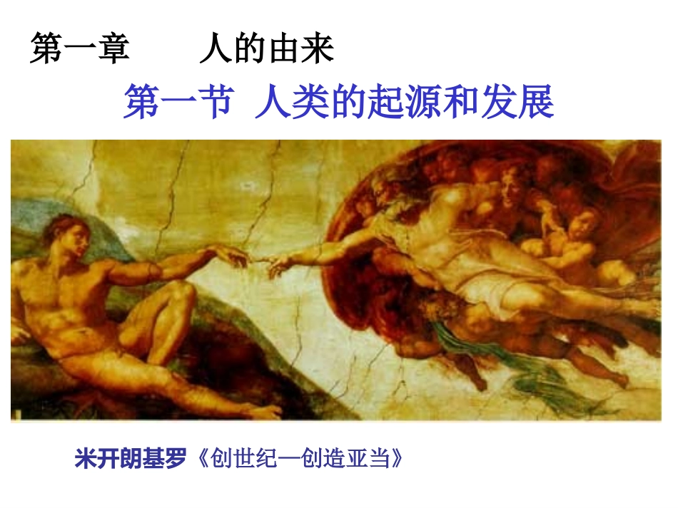 人类的起源和发展_第3页