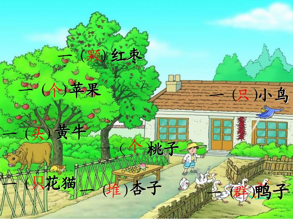 看看读读学量词_第3页