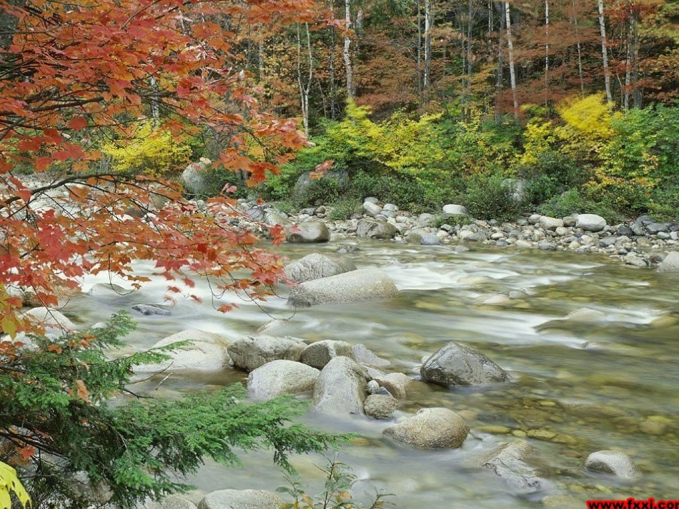 听听秋天的声音_第1页