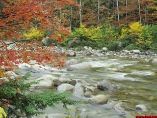 听听秋天的声音