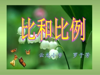 自制比和比例