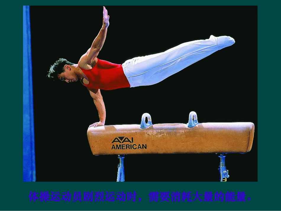 七年级生物下册_106_人体能量的供给（课件）苏教版_第2页