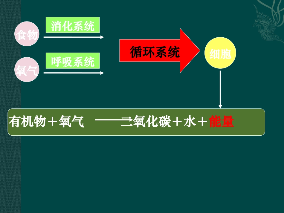 七年级生物下册_106_人体能量的供给（课件）苏教版_第3页
