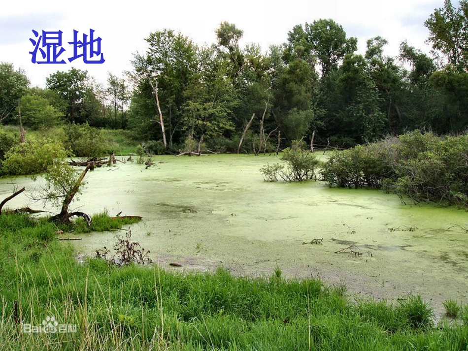 万以内的加法课件_第2页