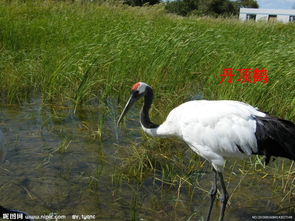 万以内的加法课件_第3页