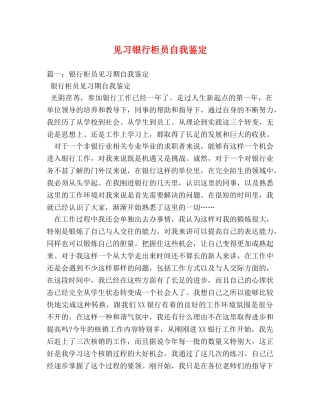 见习银行柜员自我鉴定 
