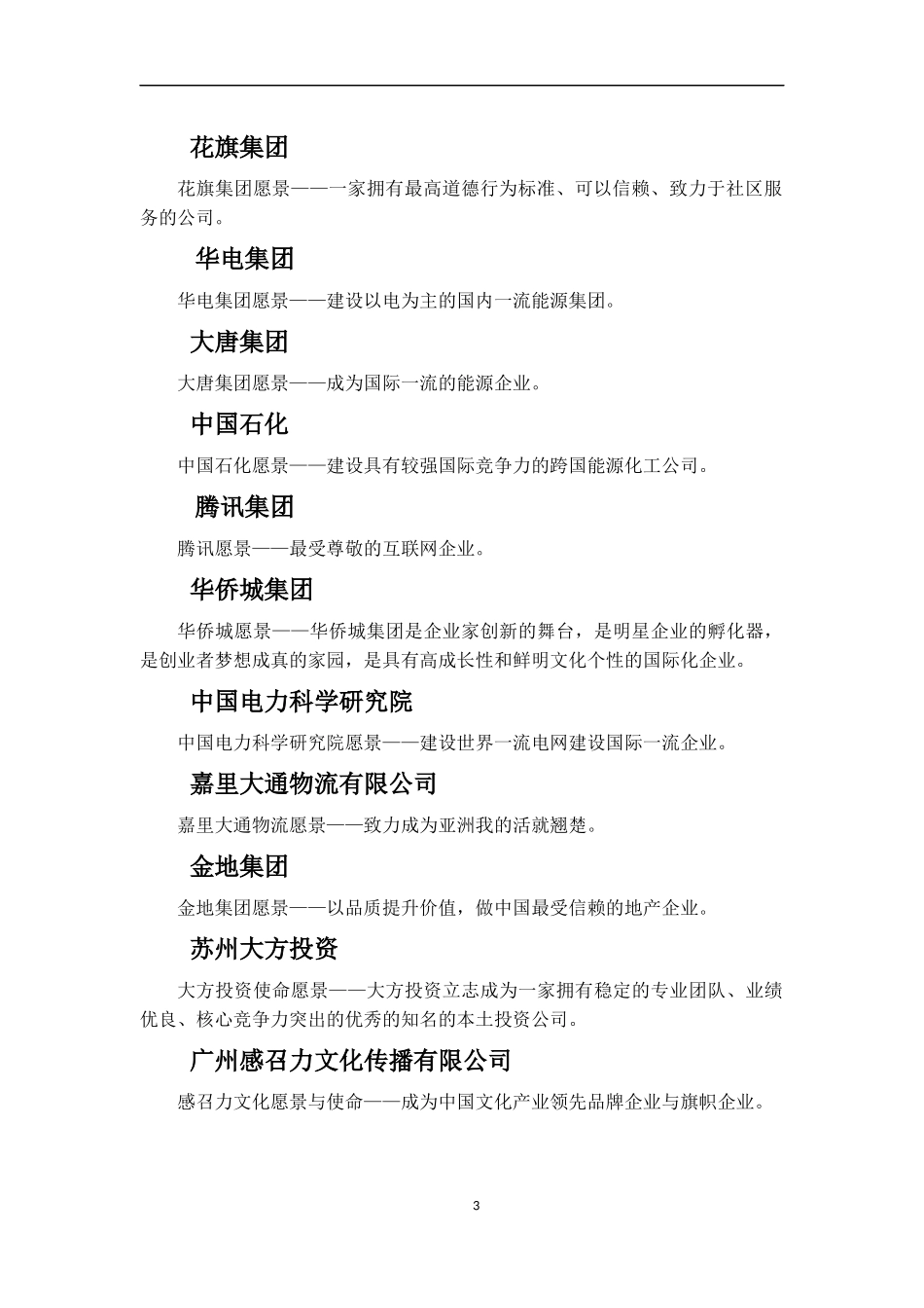 知名企业企业愿景_第3页