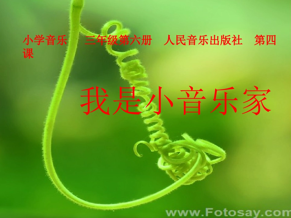 三年级音乐《我是小音乐家》课件_第2页