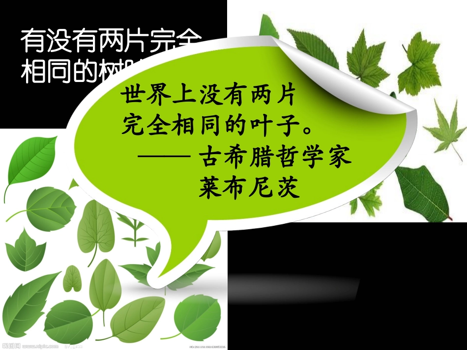 人的生命独特性_第2页