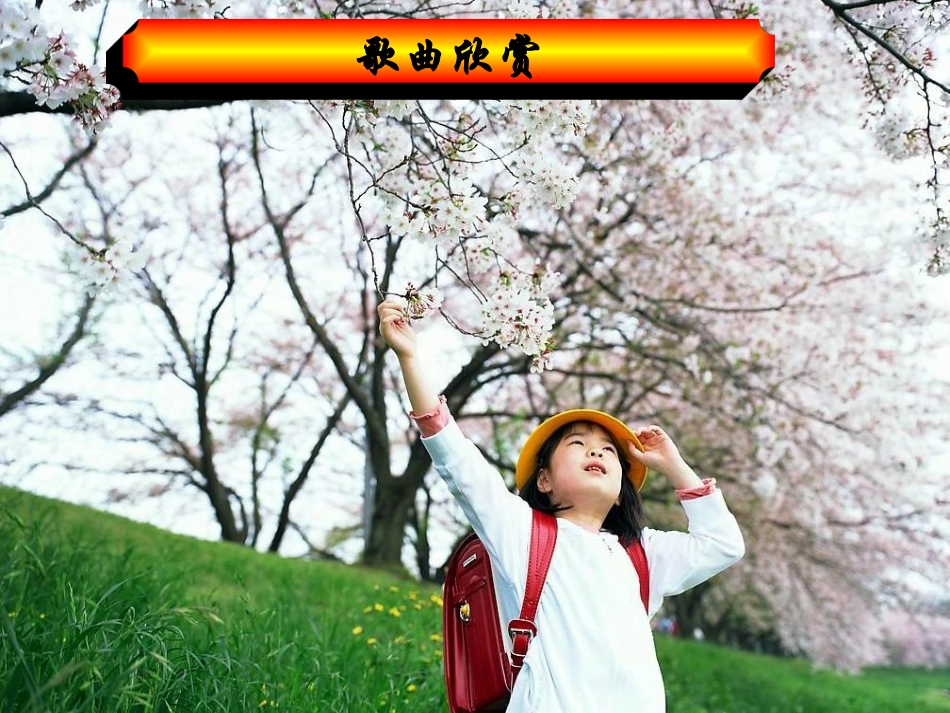 培养良好的习惯_第2页