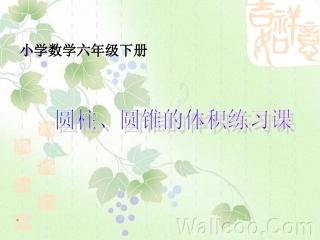 圆柱圆锥的体积练习