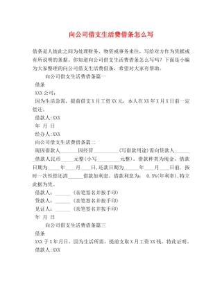 向公司借支生活费借条怎么写 