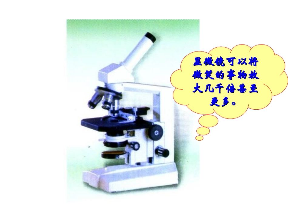 三年级上册语文——15玩出了名堂_第3页