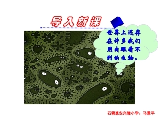 三年级上册语文——15玩出了名堂