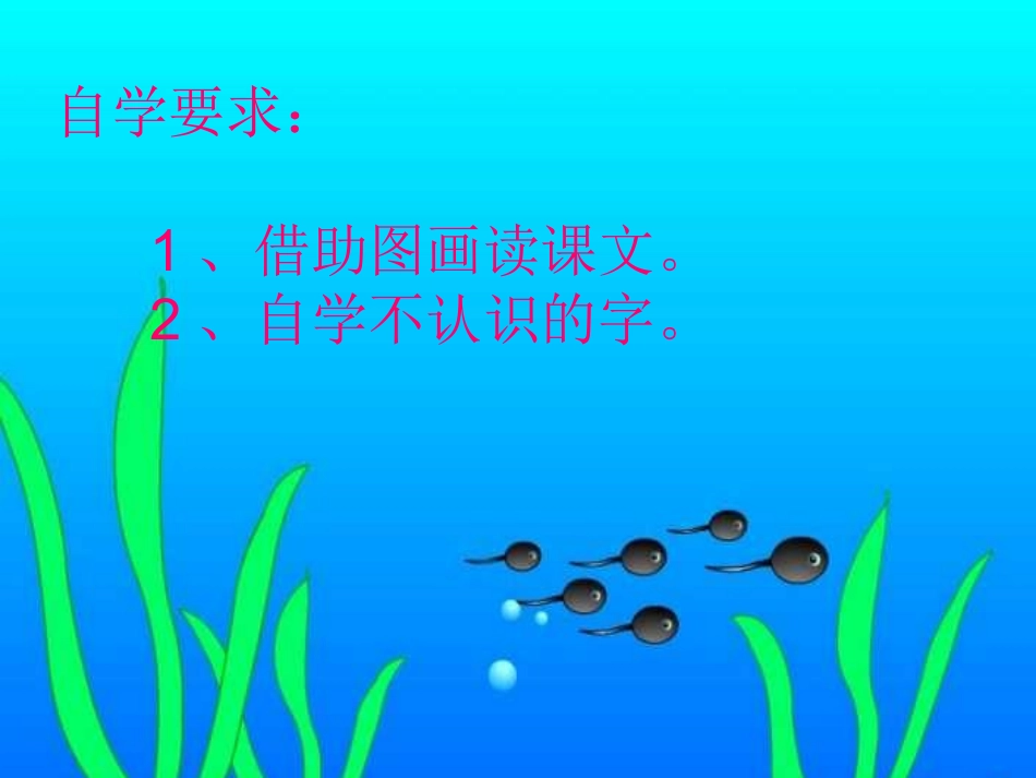 小蝌蚪 (2)_第2页