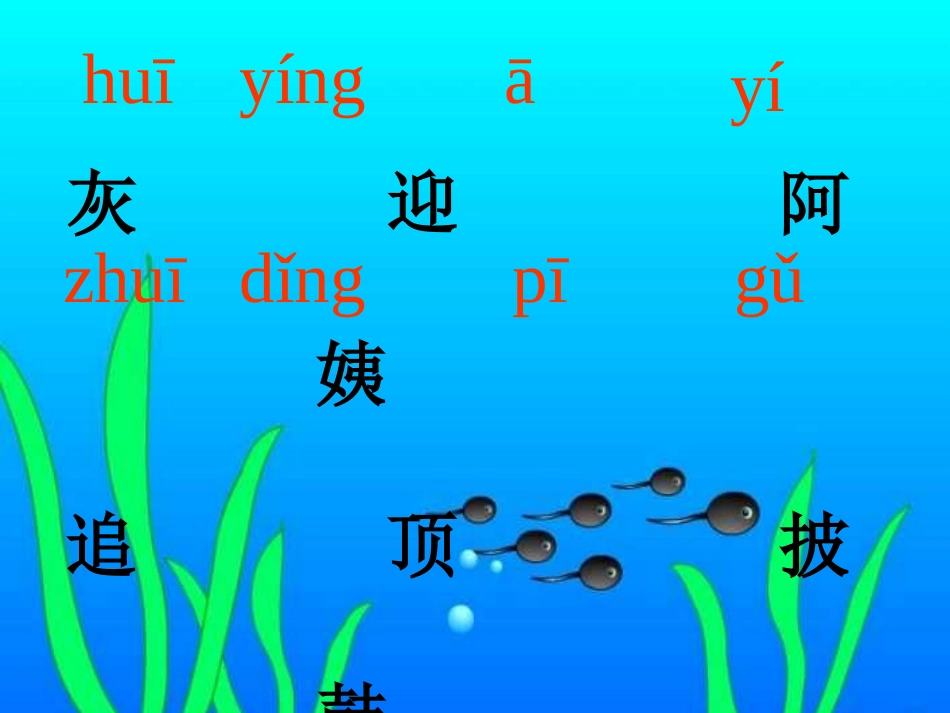 小蝌蚪 (2)_第3页