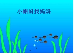 小蝌蚪 (2)