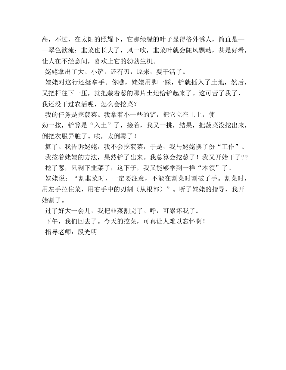 挖菜-作文 _第2页