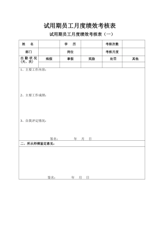 新员工试用期考核表(月度)