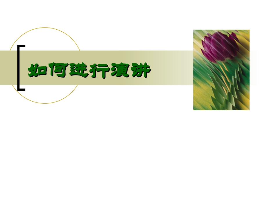 如何进行演讲_第1页
