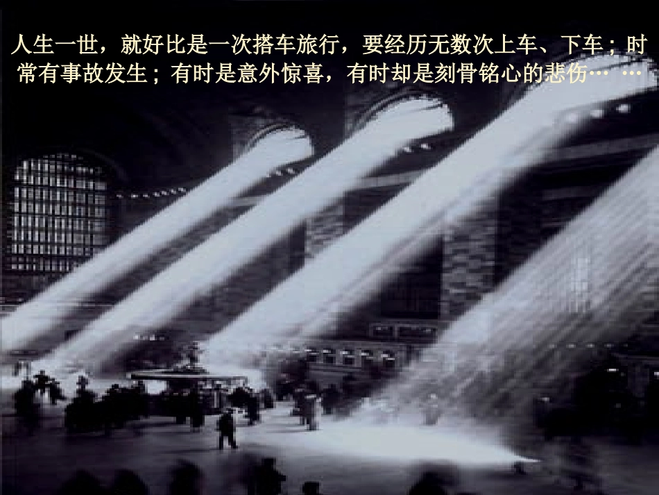 生命列车（简）_第2页