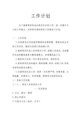 保安队长工作计划