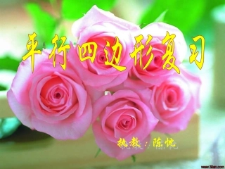 平行四边形复习