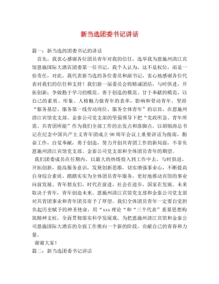 新当选团委书记讲话 