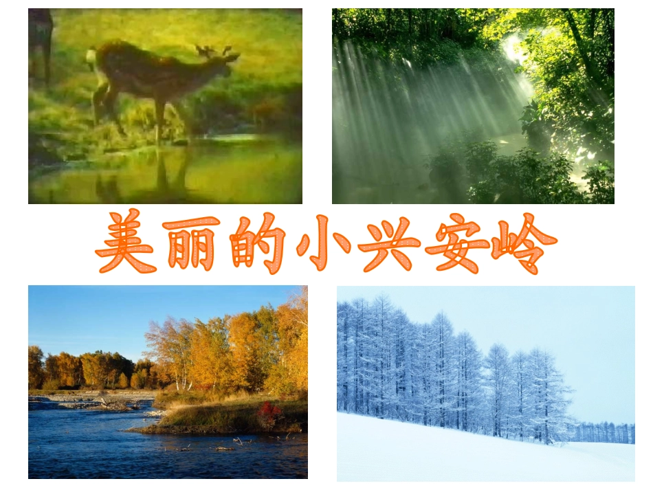 美丽的小兴安岭 (3)_第1页