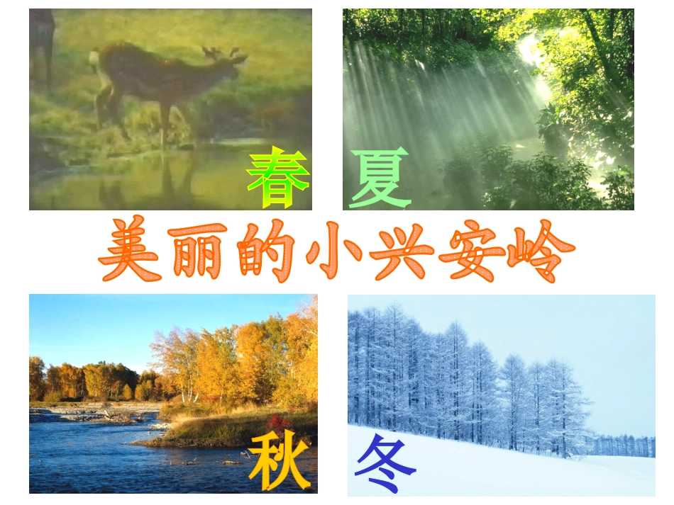 美丽的小兴安岭 (3)_第3页