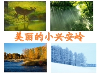 美丽的小兴安岭 (3)