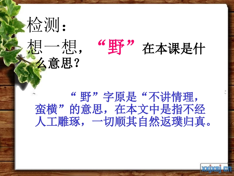 六上第4课《索溪峪的野》尤启鸿 (2)_第2页