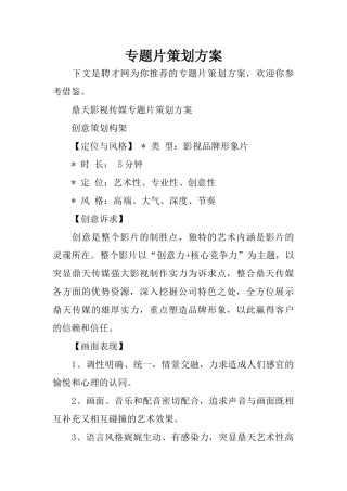 专题片策划方案