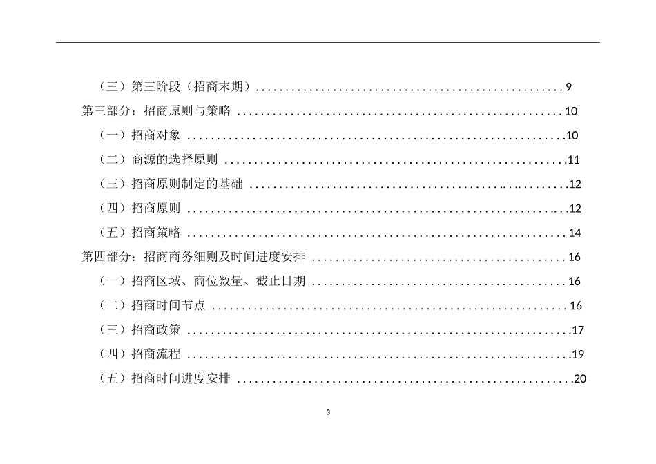 招商执行计划方案_第3页