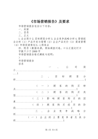 《市场营销报告》及要求
